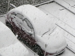 C3SNOW3